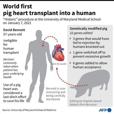Man who received second pig heart transplant has died